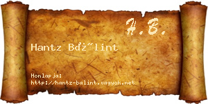 Hantz Bálint névjegykártya